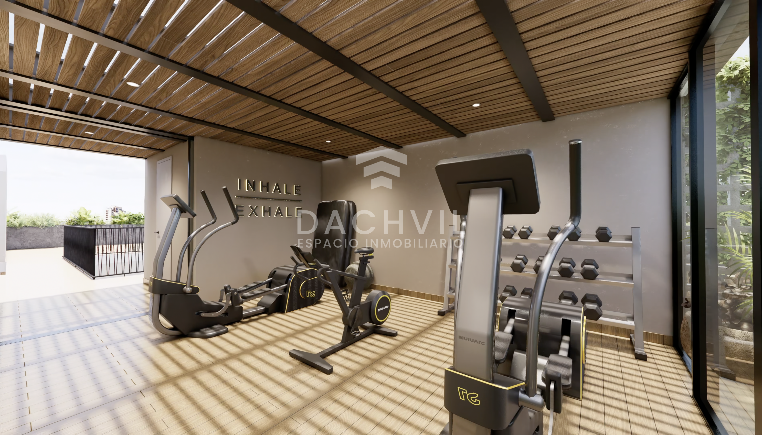 Gimnasio