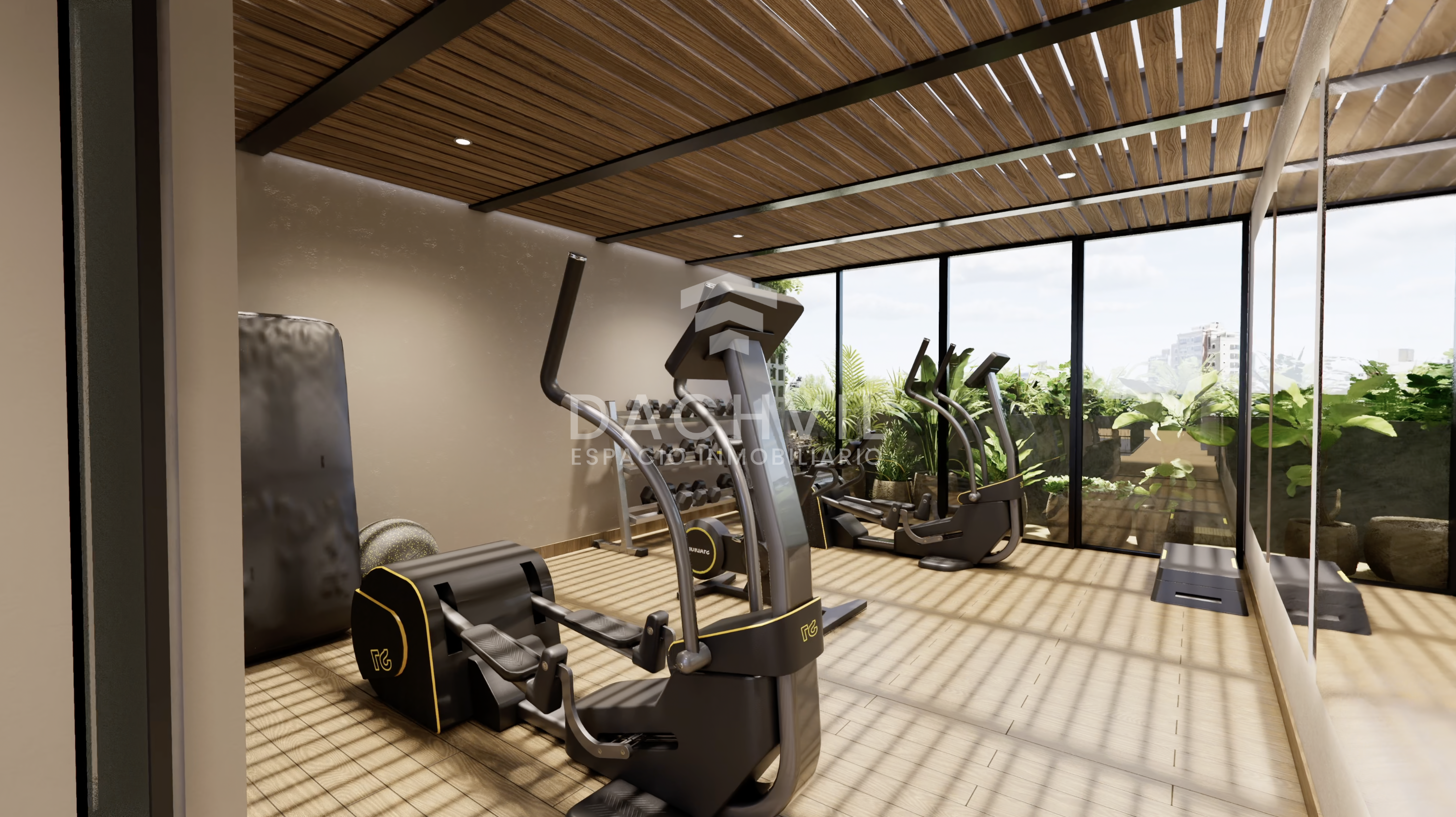Gimnasio