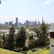 Zona Andares